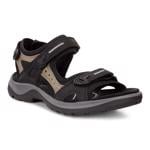 Product Color-BLACK