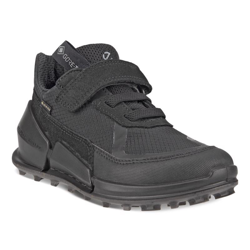 BLACK Biom K2 Black Black Black Black