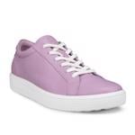 Product Color-Purple