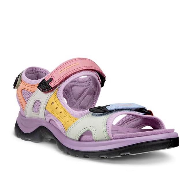 ارجواني ECCO Offroad W Multicolor Lavender Mist