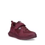Product Color-Red