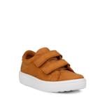 Product Color-Brown