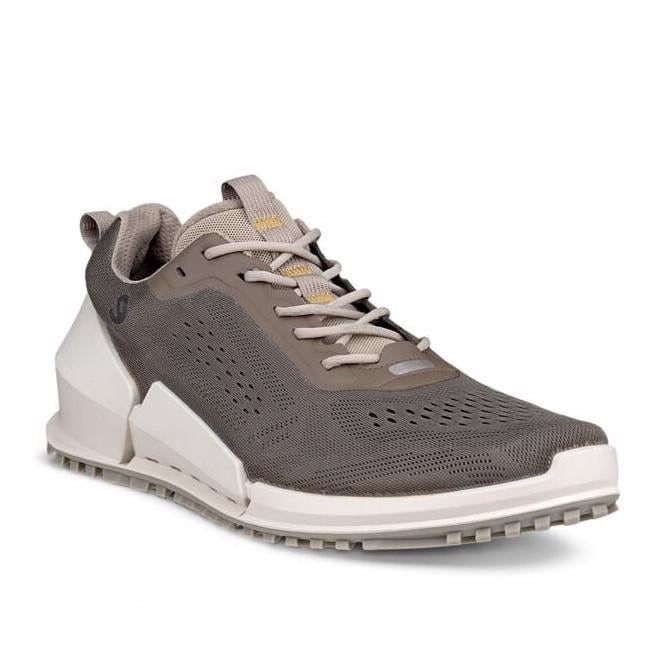Brown ECCO Biom 2.0 M