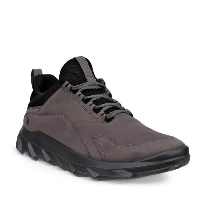 رمادي ECCO MX M Steel