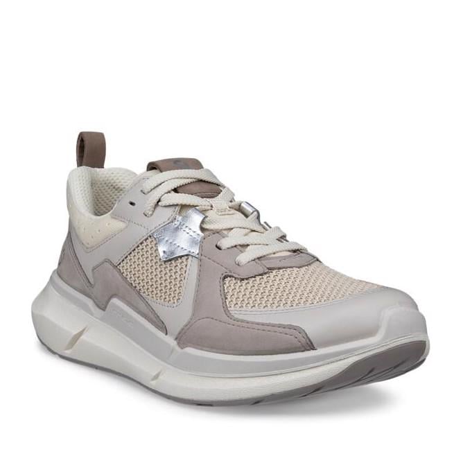 WARM GREY ECCO Biom 2.2 W Gravel