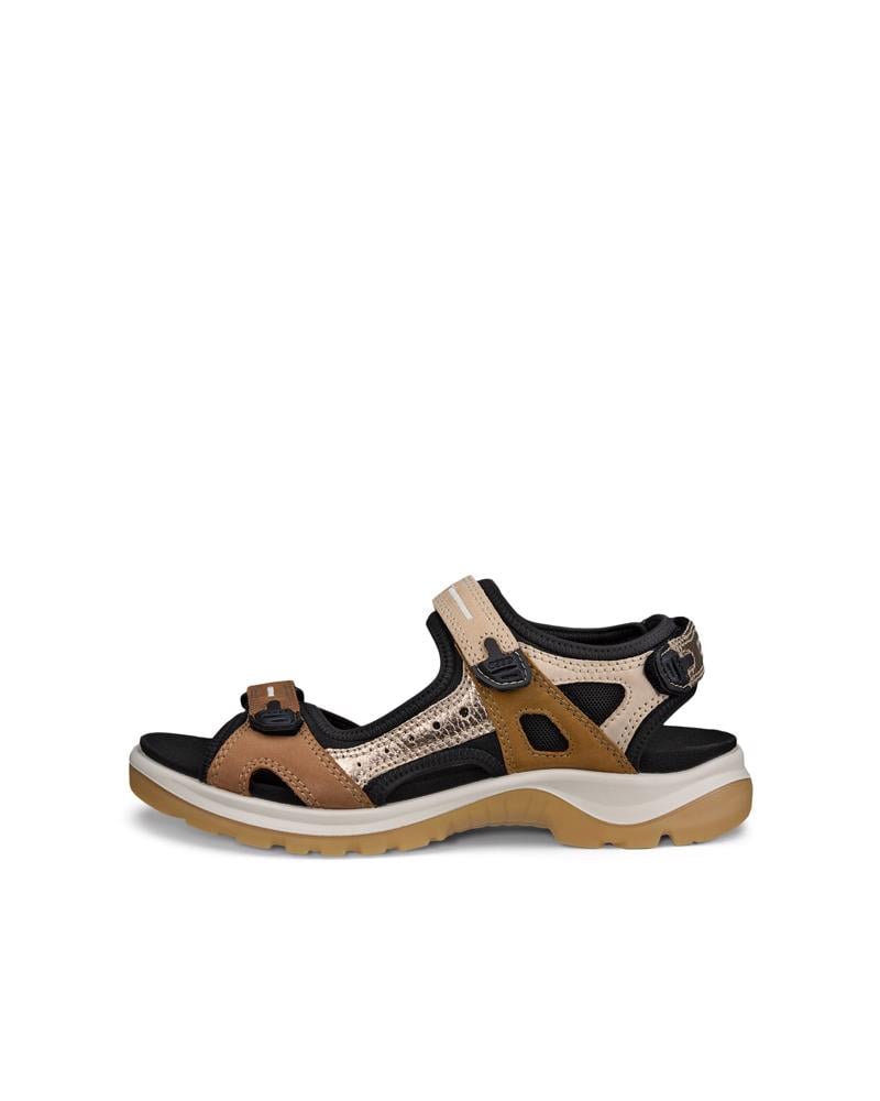 Brown ECCO OFFROAD YUCATAN W SANDAL