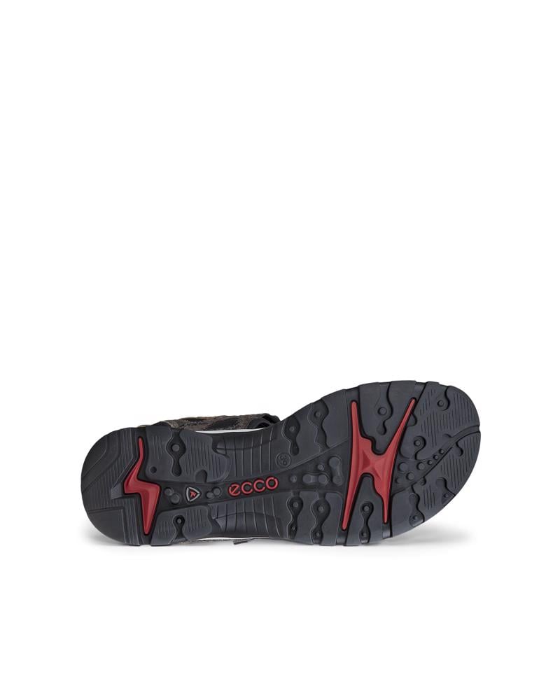 بني ECCO OFFROAD W SANDAL