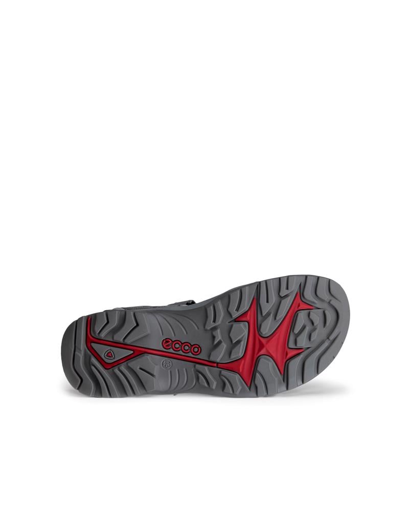 Grey ECCO Mens Yucatan Sandal