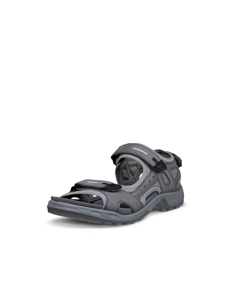 Grey ECCO Mens Yucatan Sandal