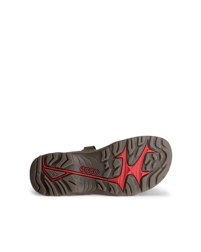 Grey ECCO OFFROAD YUCATAN M SANDAL