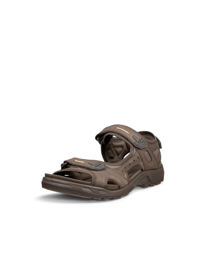 Grey ECCO OFFROAD YUCATAN M SANDAL