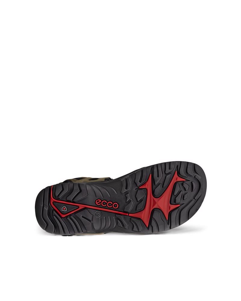 Green ECCO OFFROAD YUCATAN M SANDAL