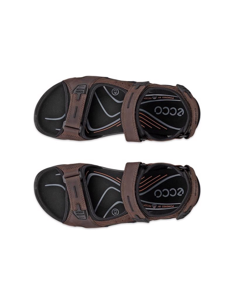 Brown ECCO OFFROAD YUCATAN M SANDAL