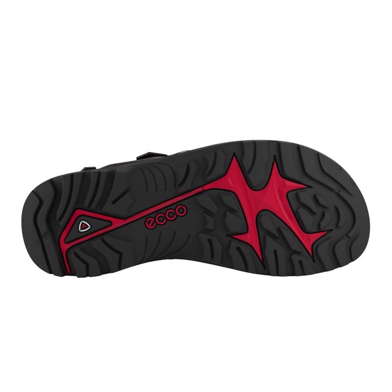 Brown ECCO OFFROAD YUCATAN M SANDAL