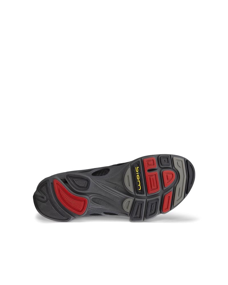 BLACK ECCO BIOM C M LEA LTD