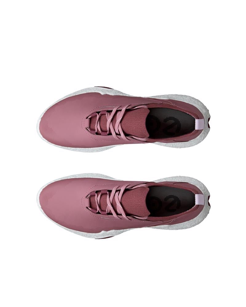 Pink ECCO W GOLF BIOM H5 LACE WP