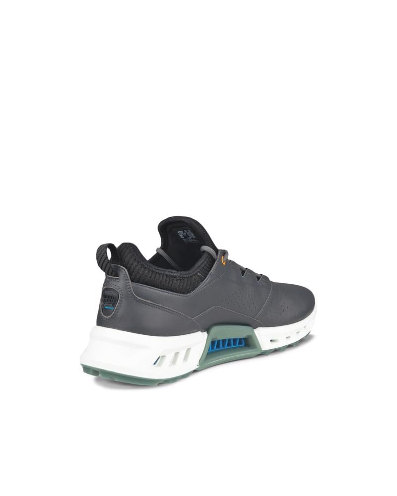 BLACK ECCO M GOLF BIOM C4 Shoe GTXS