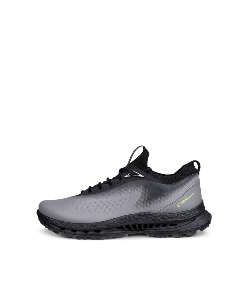 Grey ECCO M Golf BIOM C5 Lace GTX