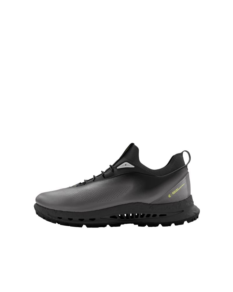 Grey ECCO M Golf BIOM C5 Lace GTX