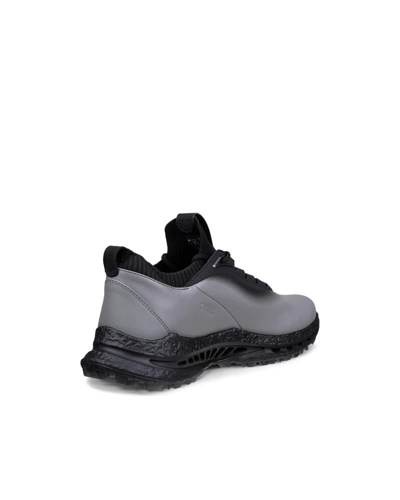 Grey ECCO M Golf BIOM C5 Lace GTX