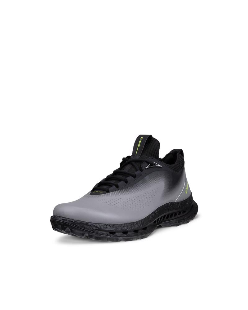 Grey ECCO M Golf BIOM C5 Lace GTX