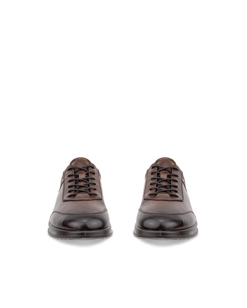 Brown ECCO AQUET M LACE SHOE