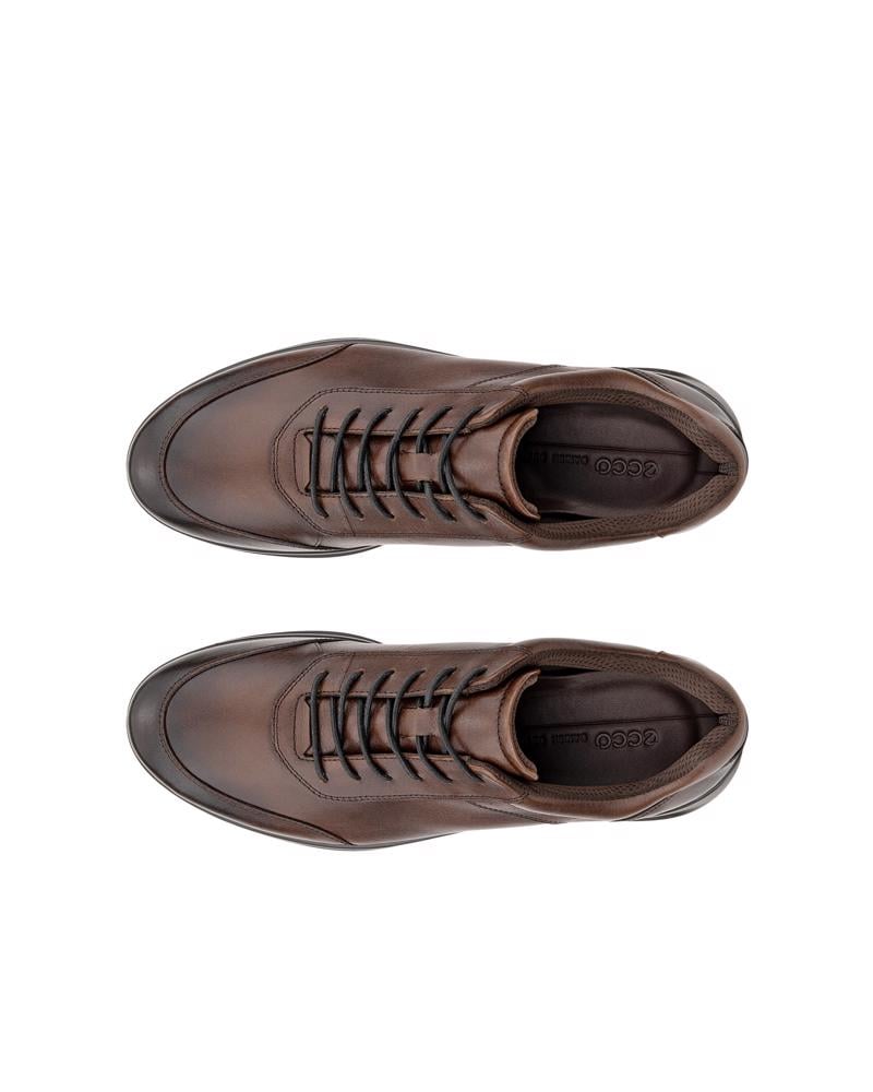 Brown ECCO AQUET M LACE SHOE