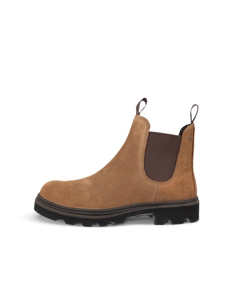 Brown ECCO GRAINER W CHELSEA COLD