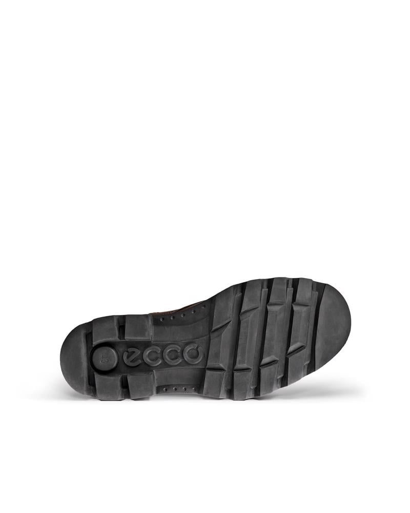 Brown ECCO GRAINER M BOOT WARM