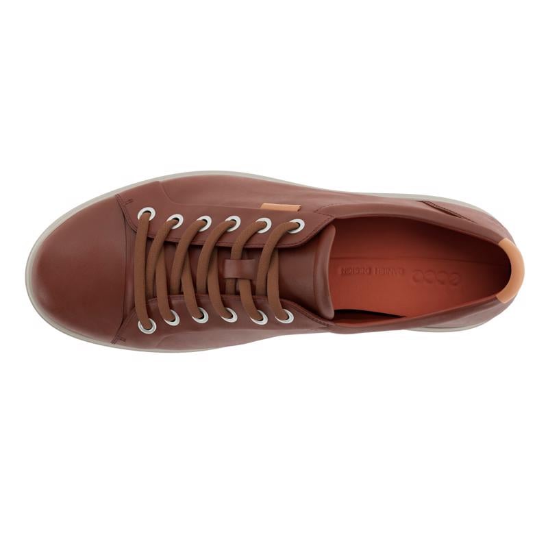 Brown ECCO SOFT 7 SNEAKER O.G