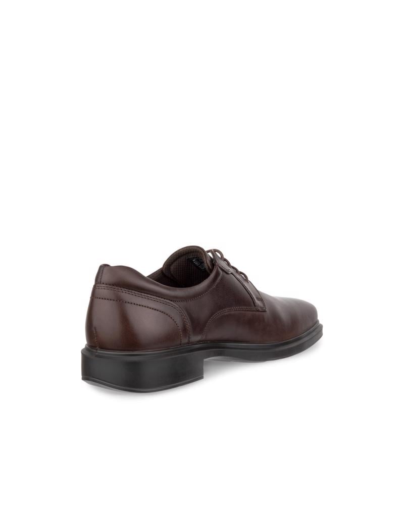 Brown ECCO HELSINKI 2 M DERBY