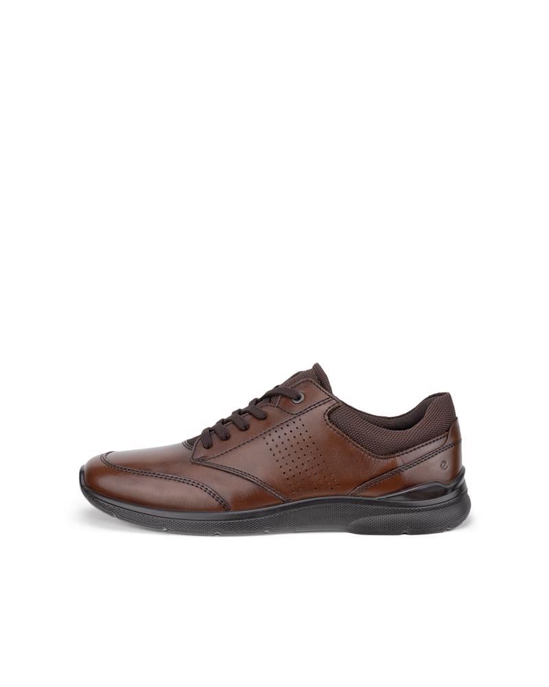 Brown ECCO IRVING M LOW LACE