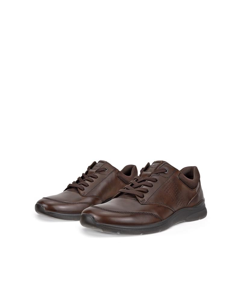 Brown ECCO IRVING M LOW LACE