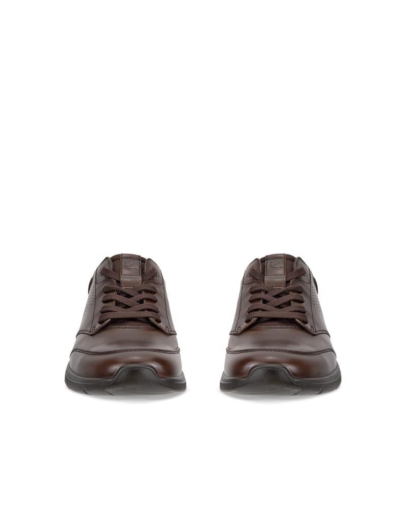 Brown ECCO IRVING M LOW LACE