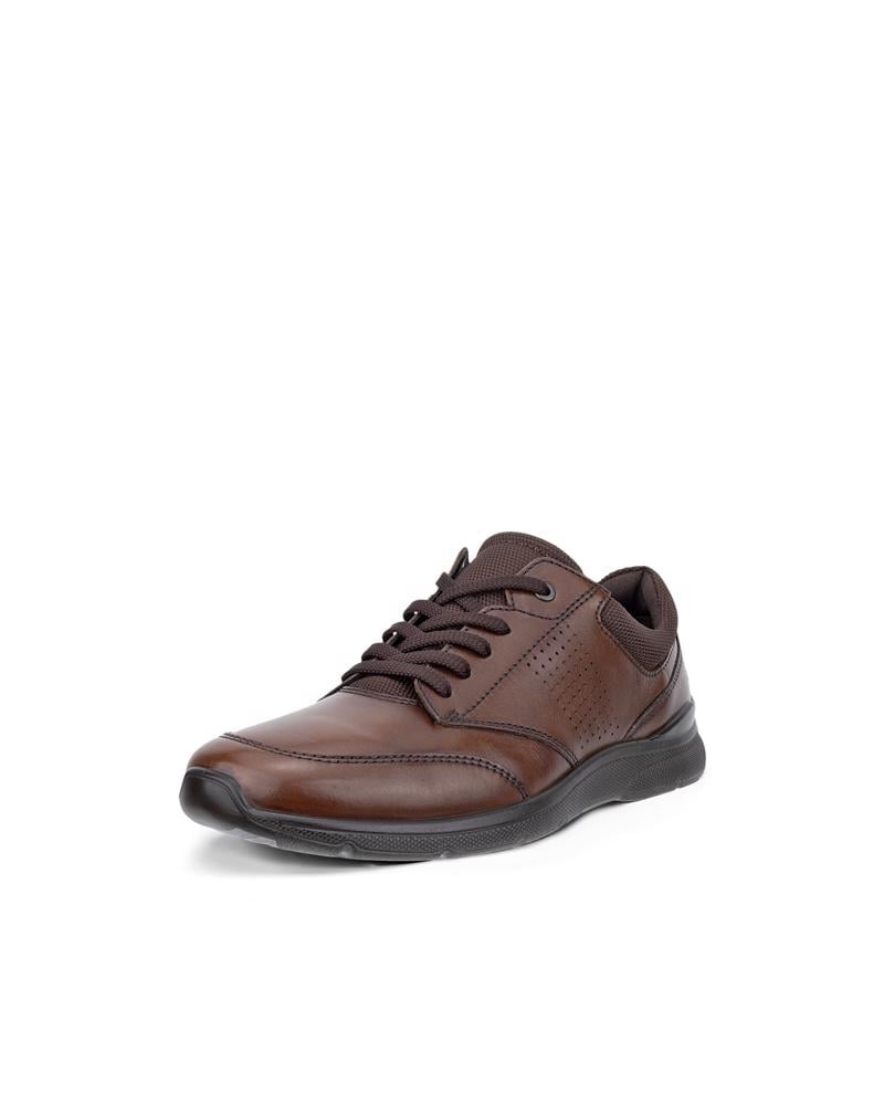 Brown ECCO IRVING M LOW LACE