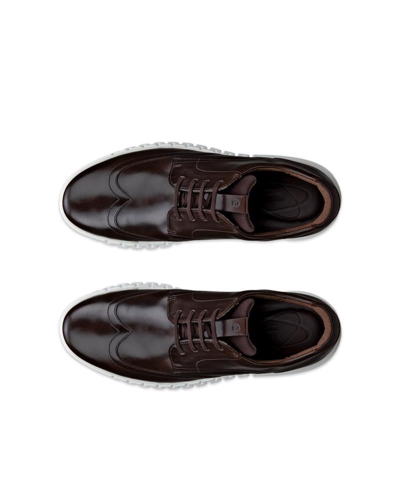Brown ECCO GRUUV STUDIO M WINGTIP