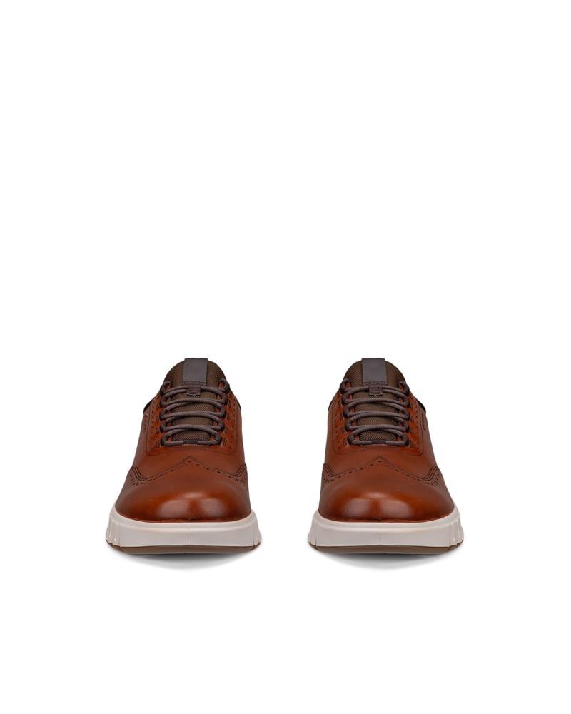Brown ECCO GRUUV STUDIO M GTX