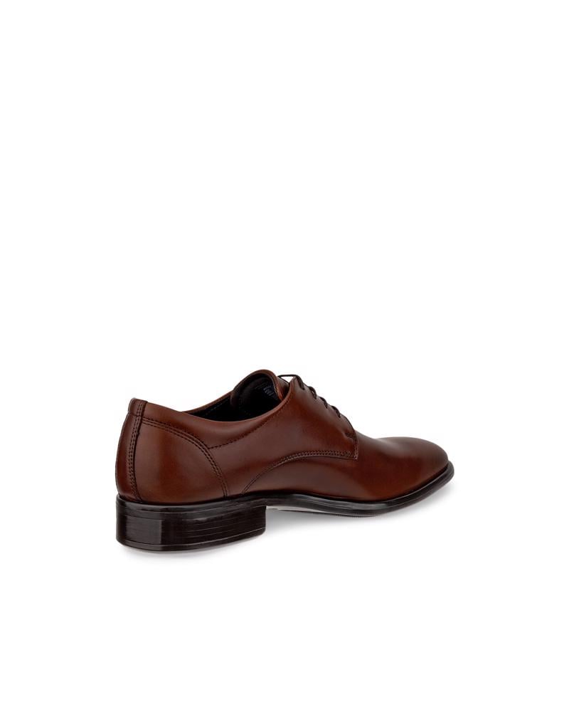 Brown ECCO CITYTRAY M DERBY SHOE