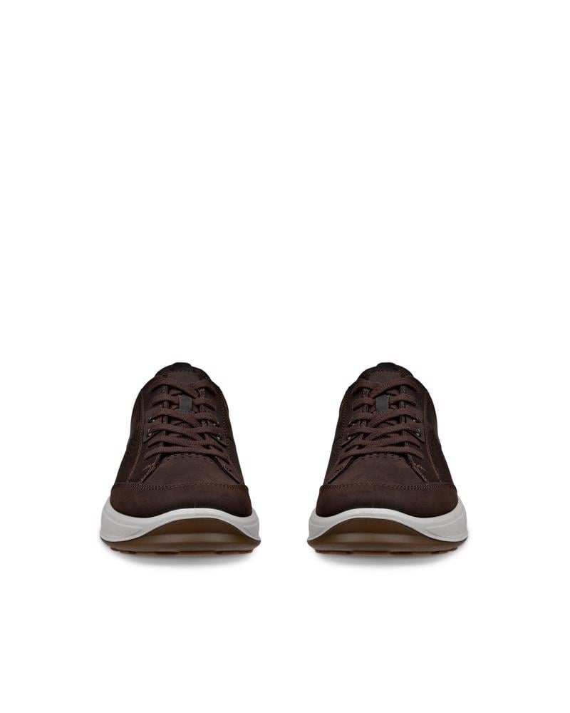 Brown ECCO BYWAY 2.0 M SHOE WP