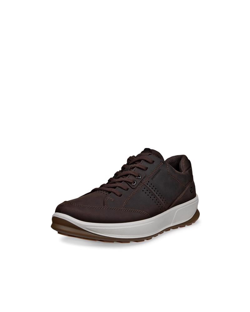 Brown ECCO BYWAY 2.0 M SHOE WP