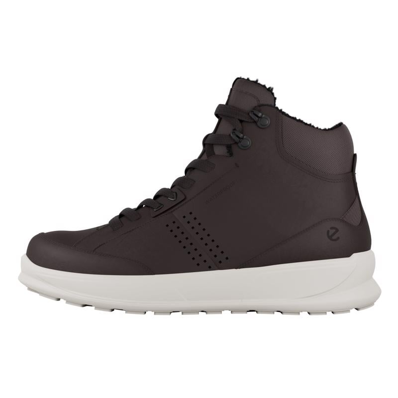 Brown ECCO BYWAY 2.0 M BOOT WARM WP