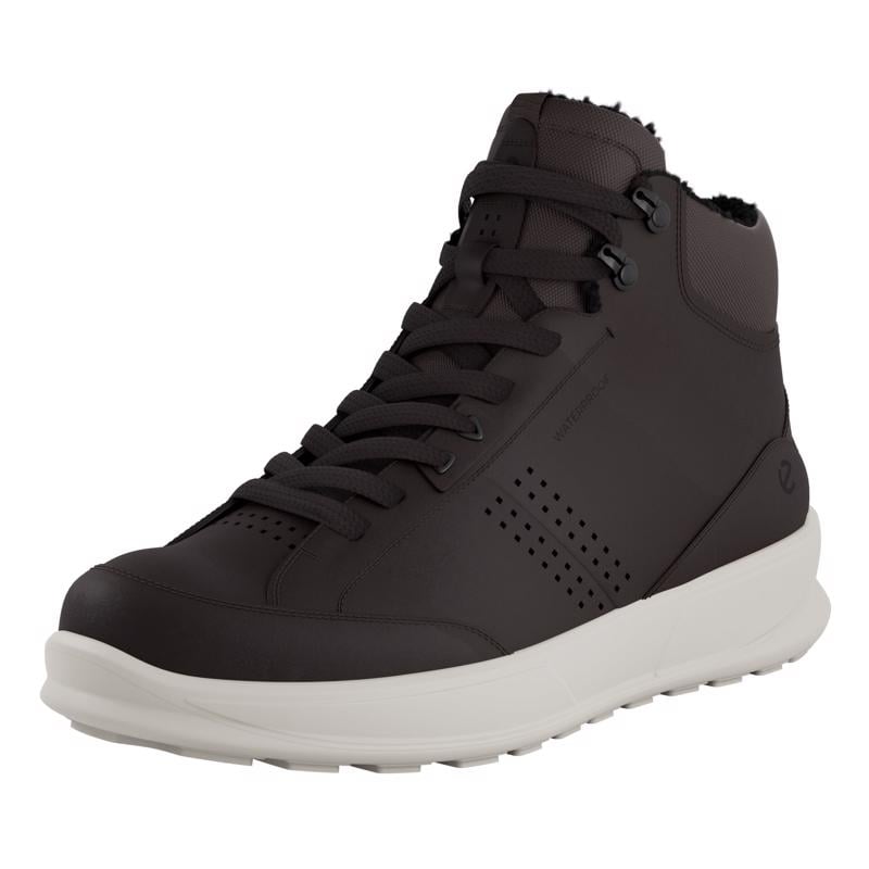 Brown ECCO BYWAY 2.0 M BOOT WARM WP