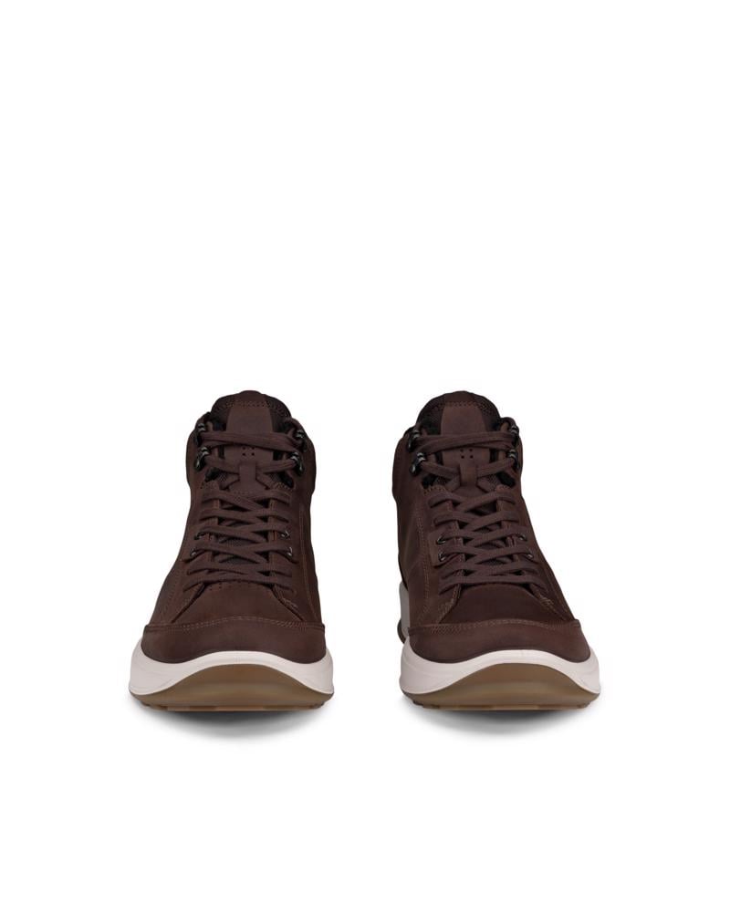 Brown ECCO BYWAY 2.0 M BOOT WARM WP