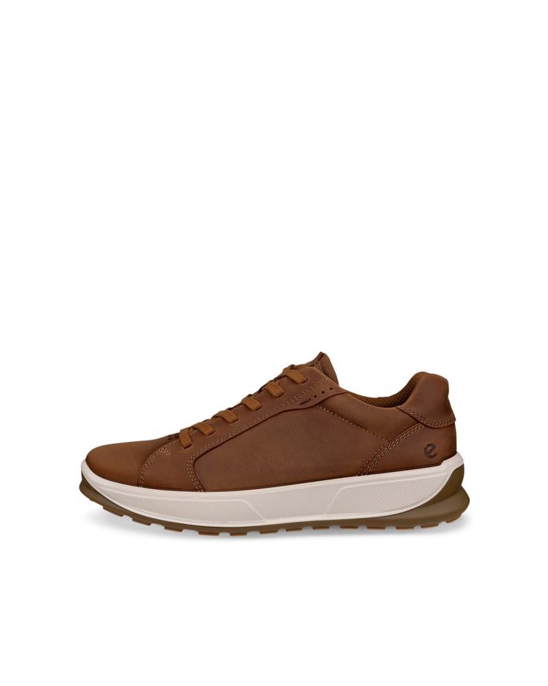 CAMEL ECCO BYWAY 2.0 M LOW LEA