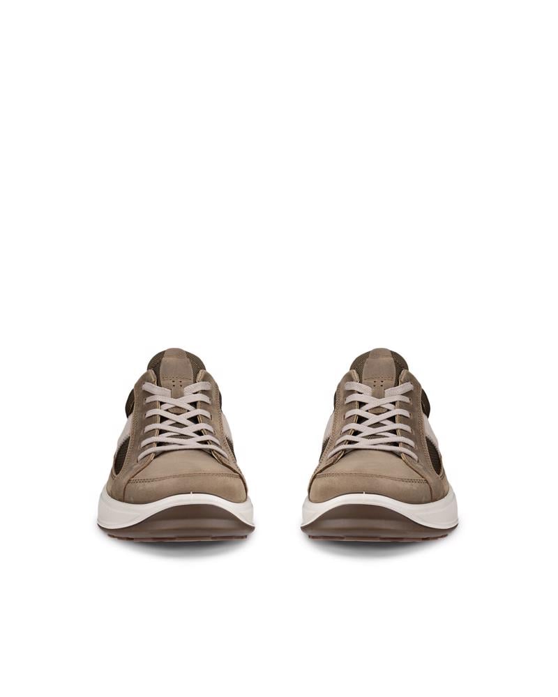 Brown ECCO BYWAY 2.0 M TEX SHOE