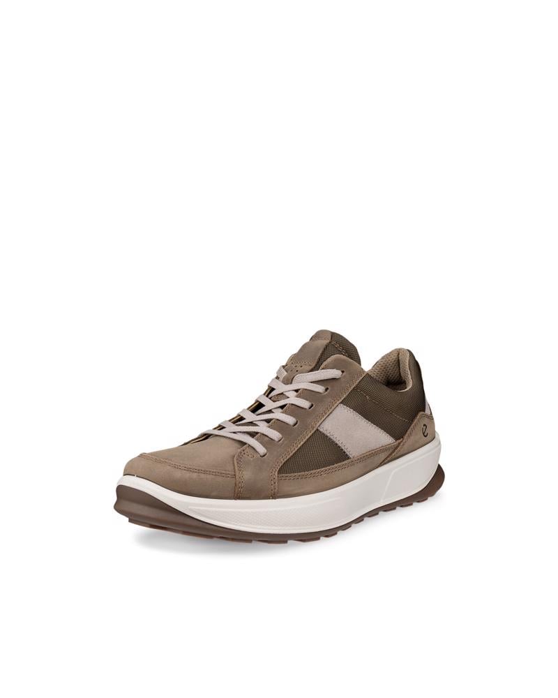 Brown ECCO BYWAY 2.0 M TEX SHOE