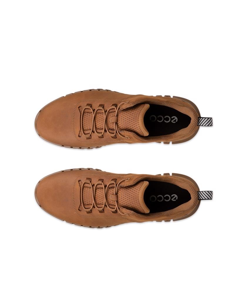 Brown ECCO GRUUV M SNEAKER LEA
