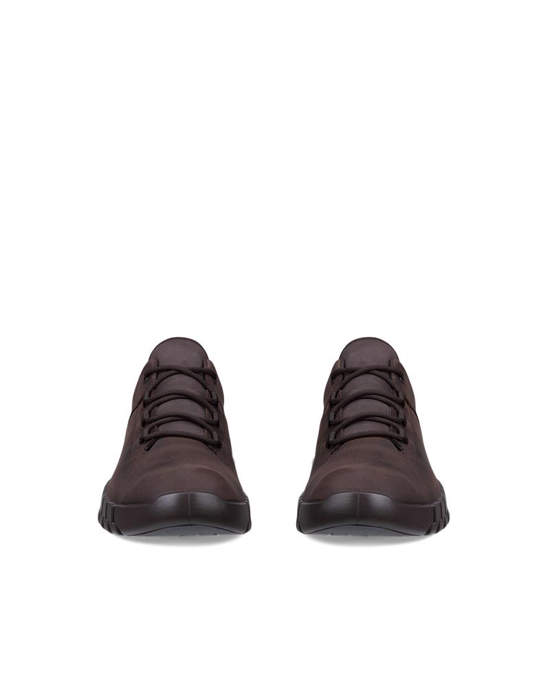 Brown ECCO GRUUV M SNEAKER LEA GTXS