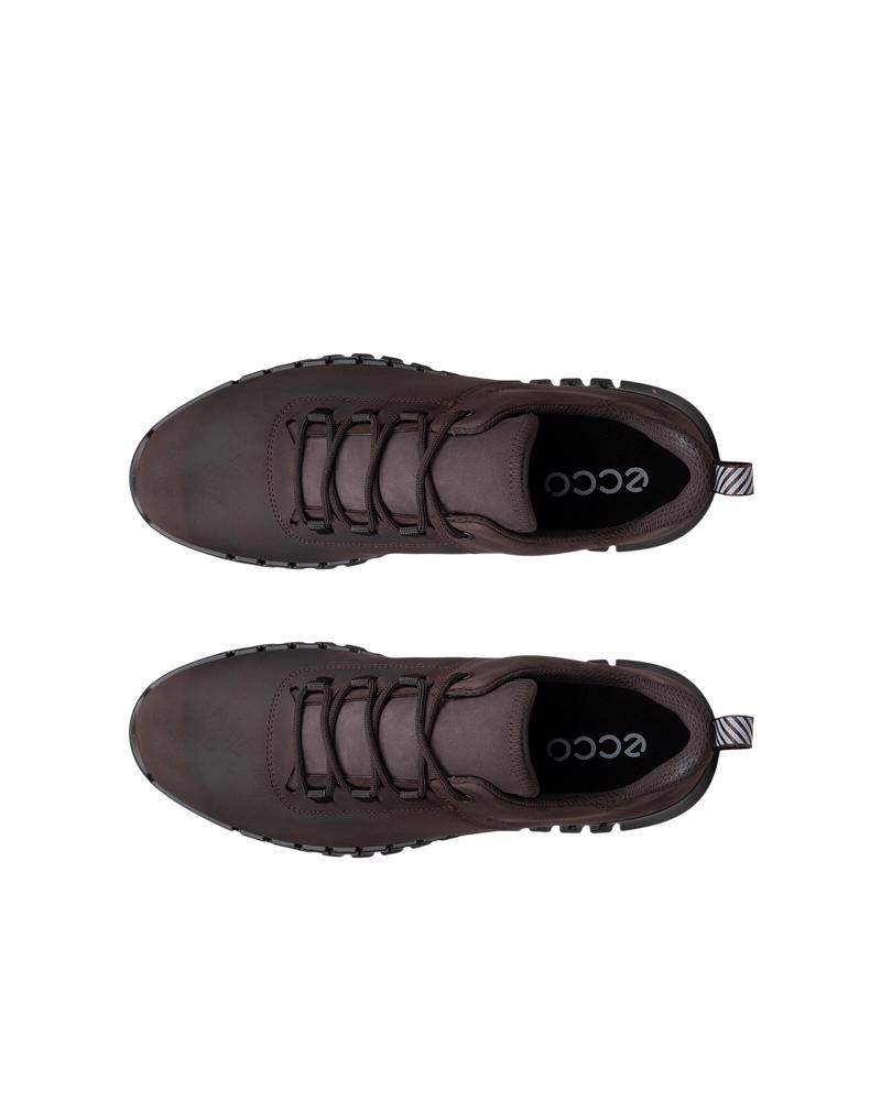 Brown ECCO GRUUV M SNEAKER LEA GTXS