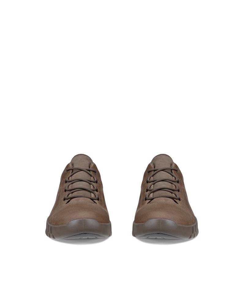 Brown ECCO GRUUV M SNEAKER LEA GTXS